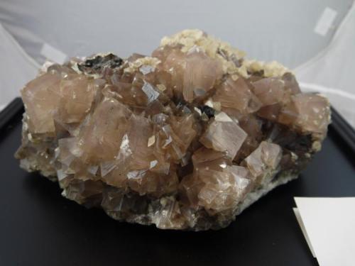 Fluorite, Calcite, Bitumen
Annabel Lee Mine, Cave-in Rock District, Hardin County, Illinois, USA
27.5 x 18.6 x 12 cm (Author: Don Lum)