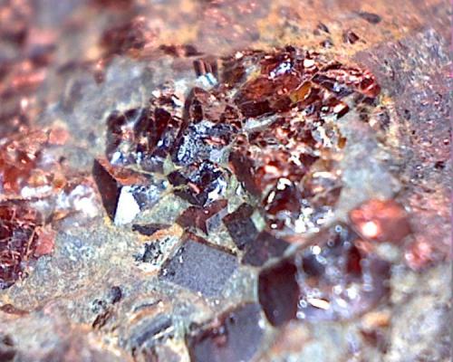 Granate con Magnetita
Coto Vivaldi, Molinaseca, León, Castilla y León, España
Detalle dela pieza anterior, ¿podría tratarse del tipo (piropo) ya que es de color vino tinto a rojo sangre? El amandino es de tono dorado (Autor: Raul)