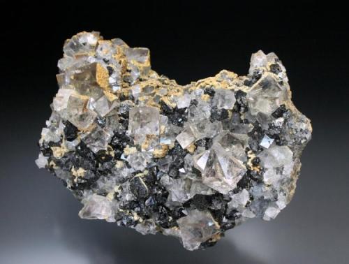 Fluorite
Diana Vein, Beaumont Mine, Allanheads
120x75mm
 (Author: ian jones)