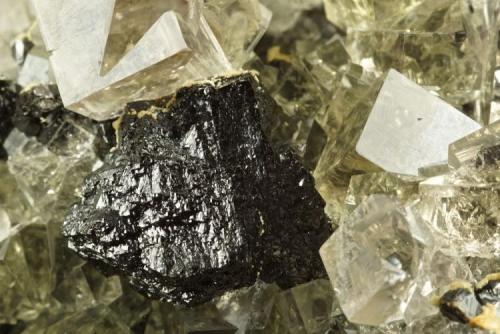 Sphalerite with fluorite
Beaumont Mine, Northumberland, UK
25 mm sphalerite, fluorites to 20 mm. (Author: Ru Smith)