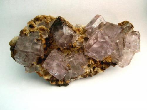 Fluorite
Beaumont Mine, Allenheads
80x40mm
 (Author: ian jones)