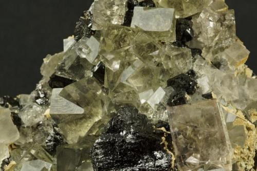 Fluorite
Beaumont Mine, Northumberland, UK
13 cm specimen with crystals to 2 cm. (Author: Ru Smith)