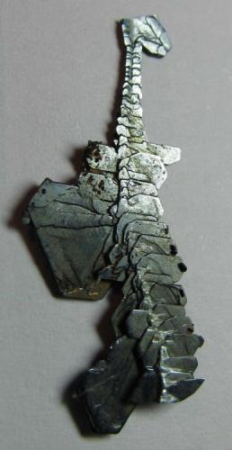 Hematites
Ouichane, Ségangane, Nador, Marruecos
2’8 x 1’2 cm.
Agregado esqueletiforme de cristales tabulares con intenso brillo metálico. (Autor: prcantos)