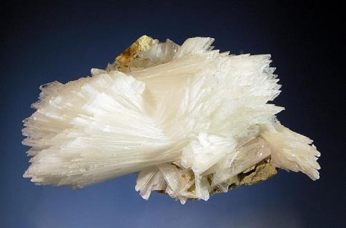 Gypsum
Boldut Mine, Cavnic, Maramures, Romania
5.0 x 7.5 cm.
Stacked divergent white blades on a siderite matrix. Collected in 2002. (Author: crosstimber)