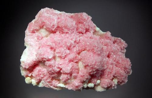 Rhodochrosite
Boldut Mine, Cavnic, Maramures, Romania
7.1 x 9.5 cm.
Bladed pink rosettes with a pearly luster covering quartz/sulfide matrix. Collected in 2003. (Author: crosstimber)