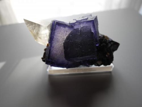 Fluorite, Calcite, Sphalerite
Elmwood Mine, Smith County,  Tennessee, USA
12.5 x 7.5 x 6.5 cm
with backlight (Author: Don Lum)