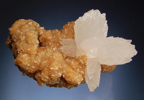 Calcite
Boldut Mine, Cavnic, Maramures, Romania
4.0x 6.0 cm.
Colorless calcites to 4 cm composed of multiple acute scalenohedral crystals set on a matrix of lustrous tan siderite.  Collected in 2001. (Author: crosstimber)