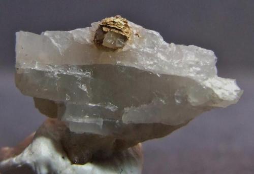 Gold on Quartz.
Kalgoorlie Gold Mines, Kalgoorlie, Western Australia, Australia.
16 x 8 mm (Gold to 3mm) (Author: nurbo)