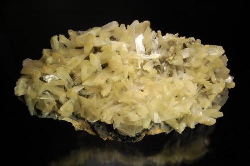 Gypsum
Cavnic Mine, Cavnic, Maramures, Romania
10.0 x 18.0 cm.
Creamy to straw-colored, bladed, gypsum crystals covering an undulating, thin shell of quartz. Collected in 1990. (Author: crosstimber)