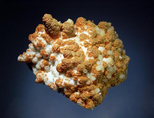Orpiment
Cavnic, Maramures, Romania
6.6 x 7.1 cm.
Orange and brown orpiment partially covering a matrix of white crystallized calcite. (Author: crosstimber)