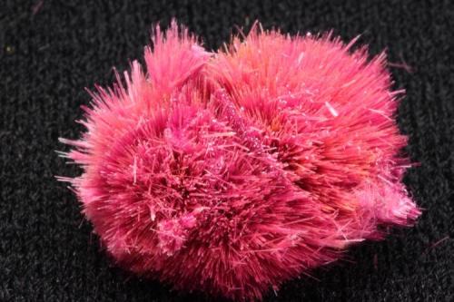 Eritrina
Monte Isa, Queensland, Australia
Agregado de 21 mm (cristales aciculares)
Encontrada en 1987. (Autor: Iván Blanco (PDM))
