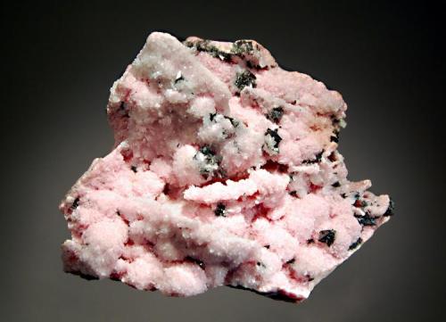 Rhodochrosite
Cavnic, Maramures, Romania
7.7 x 9.5 cm.
Rhodocrosite replacing platy calcite crystals with small metallic black tetrahedrite crystals on a matrix of massive white calcite and tetrahedrite. (Author: crosstimber)