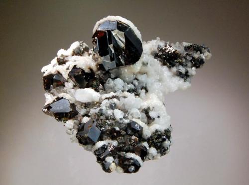 Sphalerite
Cavnic, Maramures, Romania
6.1 x 7.5 cm.
Lustrous slightly translucent crystals of twinned sphalerite to 2.0 cm. on a matrix of crystallized white calcite and quartz. (Author: crosstimber)