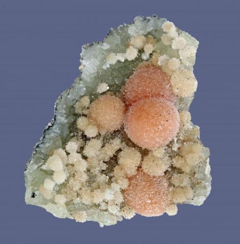 Pectolite and datolite
Millington Quarry, Bernards Township, Somerset County, New Jersey, USA
7.3 x 6.2 cm
Pectolite spheres to 1.5 cm on datolite (Author: Frank Imbriacco)