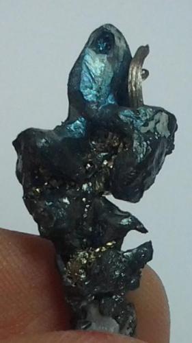 Detail of the Acanthite.
Uchucchacua Mine, Oyón Province, Department of Lima, Perú
30 mm x 12 mm x 6 mm (Author: Gianfranco Rodríguez T.)