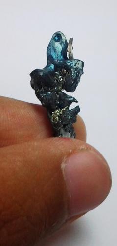 Other angle of the Acanthite.
Uchucchacua Mine, Oyón Province, Department of Lima, Perú
30 mm x 12 mm x 6 mm (Author: Gianfranco Rodríguez T.)