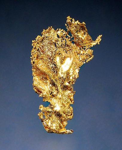 Gold
Rosia Montana, Alba Co., Romania
3.2 cm.
Formerly known as Verespatak, Rosia Montana was mined by the Romans 2000 years ago. (Author: crosstimber)