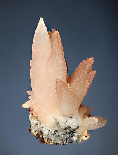 Calcite
Ocna de Fier, Banat Mts., Caras-Severin Co., Romania
4.6 x 7.0 cm.
A group of creamy white scalenohedrons with a reddish tinge due to hematite. (Author: crosstimber)