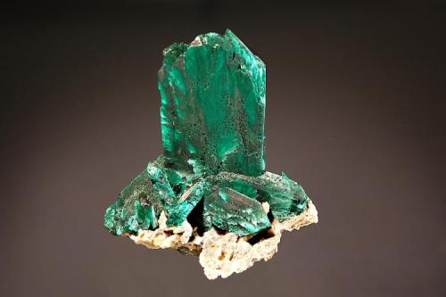 Malachite ps. azurite
Tsumeb Mine, Tsumeb, Namibia
4.6 x 4.5 cm.
Sharply formed bright green malachite crystals with a feathery chatoyance pseudomorphing azurite. (Author: crosstimber)