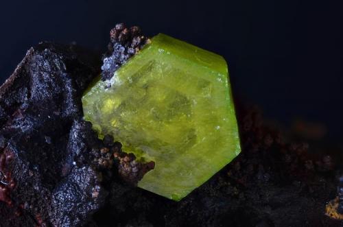 Piromorfita.
Minas de Horcajo, Ciudad Real, Castilla-La Mancha, España.
Campo de visión 12 mm. (Autor: Juan Miguel)