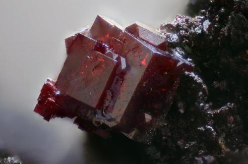 Cuprita.
Mina Ray, Pinal Co., Arizona, Estados Unidos.
Campo de visión 2 mm. (Autor: Juan Miguel)