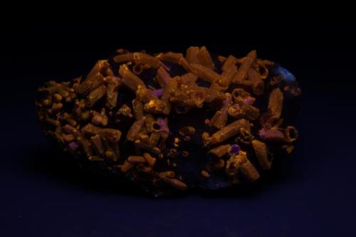 Piromorfita (Iluminada con UV, onda media)
Mina Les Farges, Ussel, Corréze, Francia
6 x 4 cm aprox.
Fluorescencia en UV, onda media. (Autor: Iván Blanco (PDM))