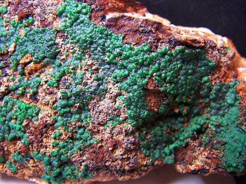 Conichalcite
Dolores Mine - Pastrana - Mazarrón - Murcia - Spain
10,5 x 5 cm (Author: panchito28)