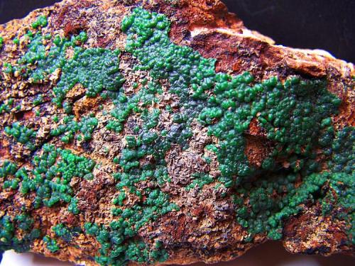 Conichalcite
Dolores Mine - Pastrana - Mazarrón - Murcia - Spain
10,5 x 5 cm (Author: panchito28)