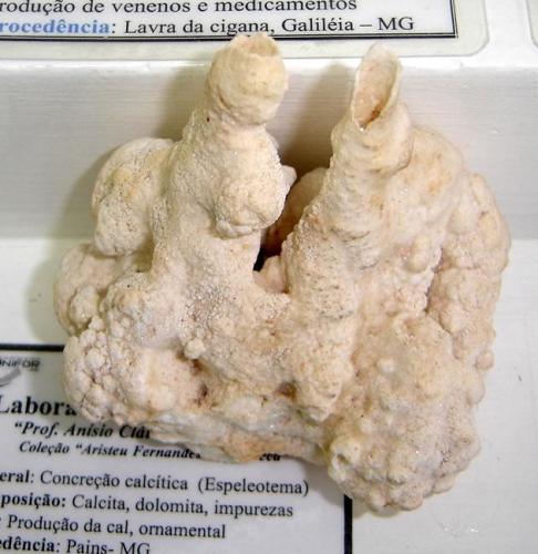 Calcita (espeleotema)
Pains, Minas Gerais, Brasil
10 x 9 x 9 cm (Autor: Anisio Claudio)