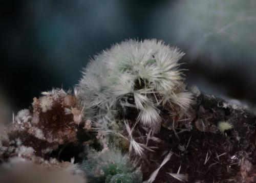 Auricalcita.
Benahadux, Almería, Andalucía, España.
Campo de visión 3 mm. (Autor: Juan Miguel)