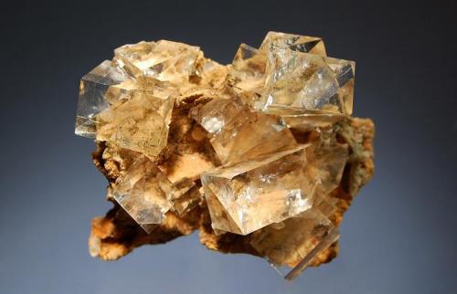 Fluorite
Nikolaevskiy Mine, Dal’negorsk, Primorskiy Kray, Russia
5.2 x 6.1 cm.
Water clear cubic fluorite crystals to 2.0 cm. on a light tan siderite matrix with several small quartz crystals. (Author: crosstimber)