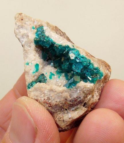 dioptase
Tsumeb, Namibia
43 x 27 x 26 mm
Dioptase on calcite on rock matrix (Author: Pierre Joubert)