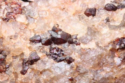 Almandino en Cuarzo
Antártida
5 x 4 cm aprox.
Detalle. Cristales rombodecaédricos de granate almandino. Encontrada en 1988. (Autor: Iván Blanco (PDM))