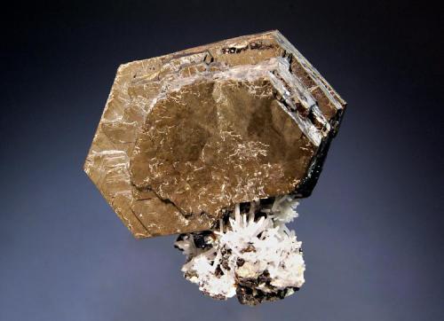 Pyrrhotite
Nikolaevskiy Mine, Da’negorsk, Primorskiy Kray, Russia
4.5 x 5.0 cm.
Thick hexagonal prisms to 5 cm on a small matrix composed of fine needle-like quartz crystals. (Author: crosstimber)