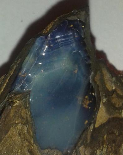 Ópalo
Adelaida, Australia
1.5 cm. tamaño del cristal (Autor: jose cabanilla)