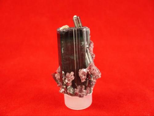 Indicolite (Tourmaline), Lepidolite
Minas Gerais, Brazil
6.3  x  4.2  x  2.5 cm
Penetrator Crystal (Author: Don Lum)