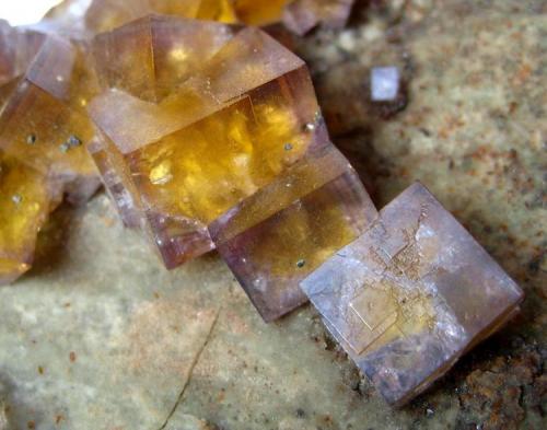 Fluorite
Zehntausend Ritter Mine, Frohnau, Annaberg District, Erzgebirge, Saxony, Germany
Detail picture of some bi-coloured crystals, FOV 3 cm (Author: Tobi)