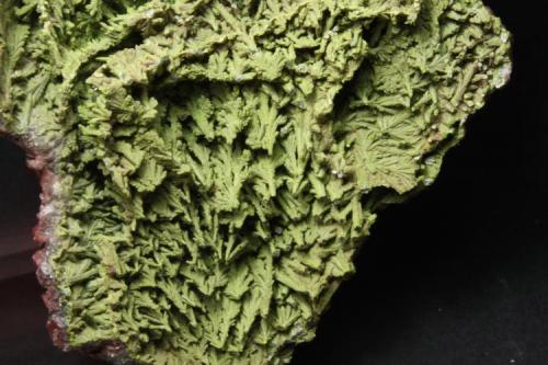 Calcita (con inclusiones de hematites), Motramita tubular
Mina Tsumeb, Namibia
9 x 6 aprox. (Autor: Iván Blanco (PDM))