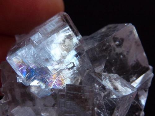 Fluorita<br />Emilio Mine, Obdulia vein, Caravia mining area, La Rubiera, Loroñe, Colunga, Comarca de la Sidra, Principality of Asturias (Asturias), Spain<br />4 x 4 cm.<br /> (Autor: javier ruiz martin)