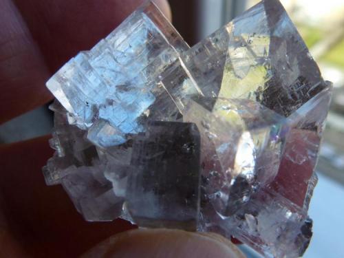 Fluorita<br />Emilio Mine, Obdulia vein, Caravia mining area, La Rubiera, Loroñe, Colunga, Comarca de la Sidra, Principality of Asturias (Asturias), Spain<br />4 x 4 cm.<br /> (Autor: javier ruiz martin)