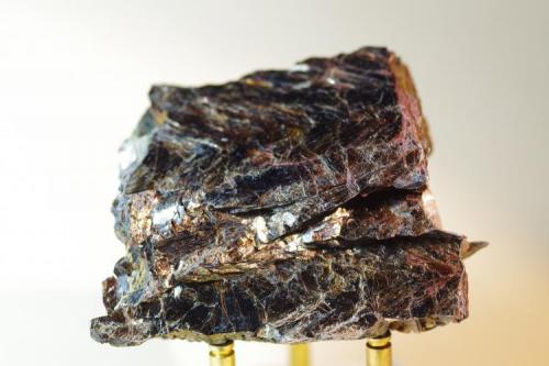 Biotita (var. Trelavaurita)
Trelavaur Lithia Mine, St Dennis, Hensbarrow, Cornualles, Inglaterra, Gran Bretaña
60x45x20 mm (Autor: Juan María Pérez)