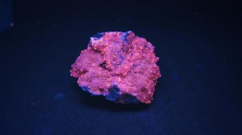 Calcita cobaltifera - Fluorescente
Bou Azzer, Marruecos.
68 x 55 mm
Luz UV onda corta. (Autor: Daniel C.M.)