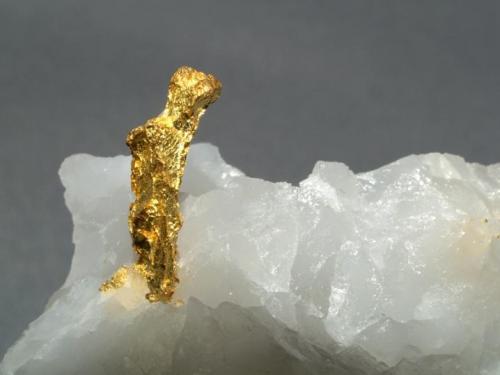 Gold
Timmins, Ontario, Canada
5 x 3.5 x 1.5 cm
Gold on Quartz (Author: Joseph D'Oliveira)