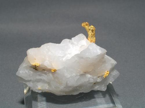 Gold
Timmins, Ontario, Canada
5 x 3.5 x 1.5 cm
Gold on Quartz (Author: Joseph D'Oliveira)