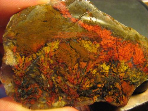 Agate
Metaliferi mountains., Romania
60x42x20 mm (Author: mihailovici79)