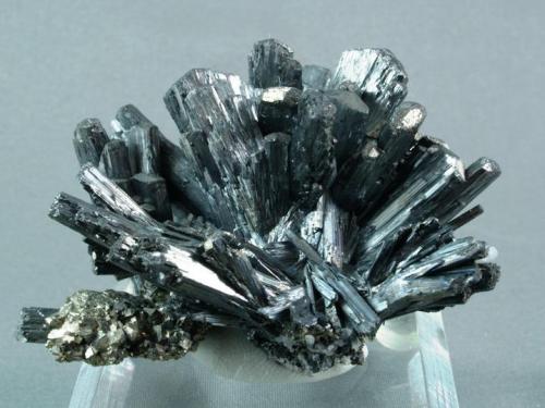 Stibnite
Breiner Mine, Baiutz, Maramures Co., Romania
5 x 3.5 x 3.5 (Author: Joseph D'Oliveira)