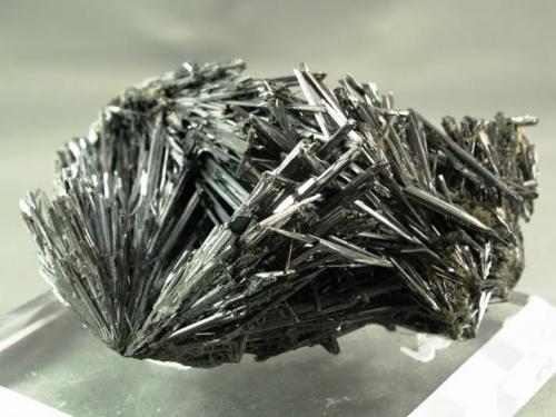 Stibnite
Herja Mine, Herja, Maramures Co., Romania
12 x 6.5 x 5.5 cm (Author: Joseph D'Oliveira)