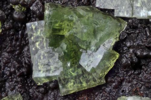 Farmacosiderita.
María Josefa Mine, Rodalquilar, Níjar, Almería, Andalucía, España.
Campo de visión 1,8 mm. (Autor: Juan Miguel)