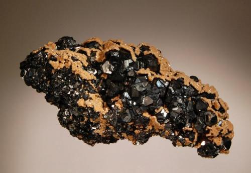 Sphalerite
Vtoroy Sovietskiy Mine, Dal’negorsk, Primorskiy Kray, Russia
5.2 x 10.5 cm.
Lustrous, black, twinned sphalerite crystals to 1.0 cm preferentially coated with a druse of brown siderite. (Author: crosstimber)