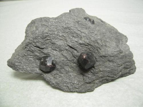 Almandine
Wrangell, Alaska, USA
19 x 13.3 x 5 cm
Garnets in Schist (Author: Don Lum)